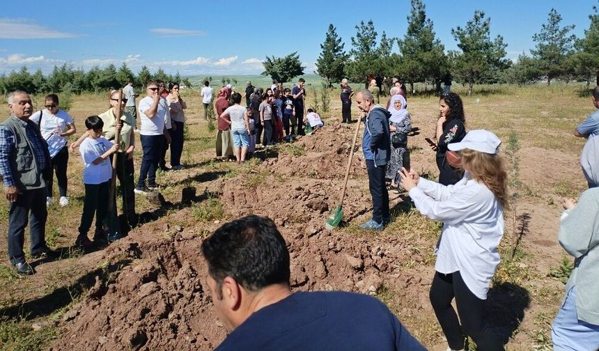 Diyarbakır’da uçurtmalar uçtu, fidanlar dikildi: 17 yıllık gelenek bozulmadı!
