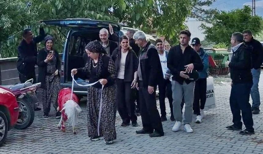 Diyarbakır'dan Antalya'ya 'Gelin Koçu' hediye edildi!