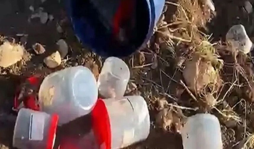 Mezarlıkta plastik kutularda 21 insan cenini bulundu! Valilikten açıklama