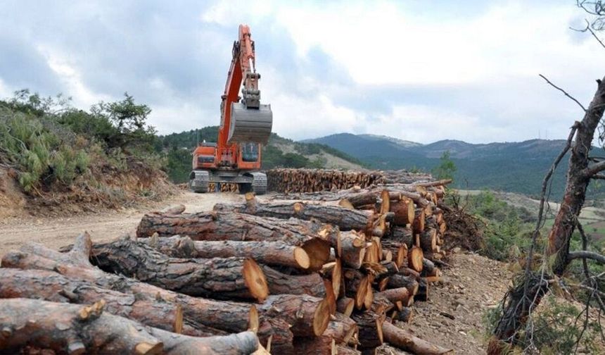 Diyarbakır’da "kaçak kesim ve rüşvet" iddiası: Meclis’e taşındı