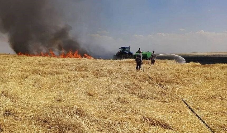 Diyarbakır'da anız yangını: Yüzlerce dönüm arazi küle döndü