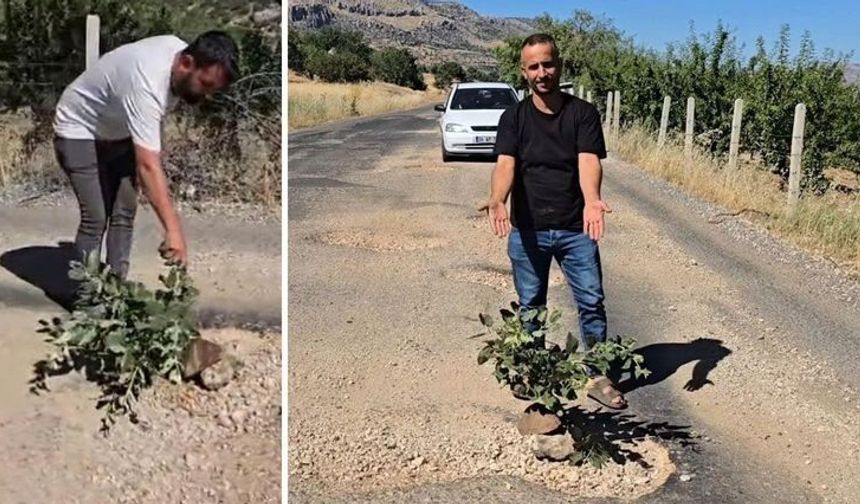 Diyarbakır’da seslerini duyurmak için yol ortasına ağaç diktiler!