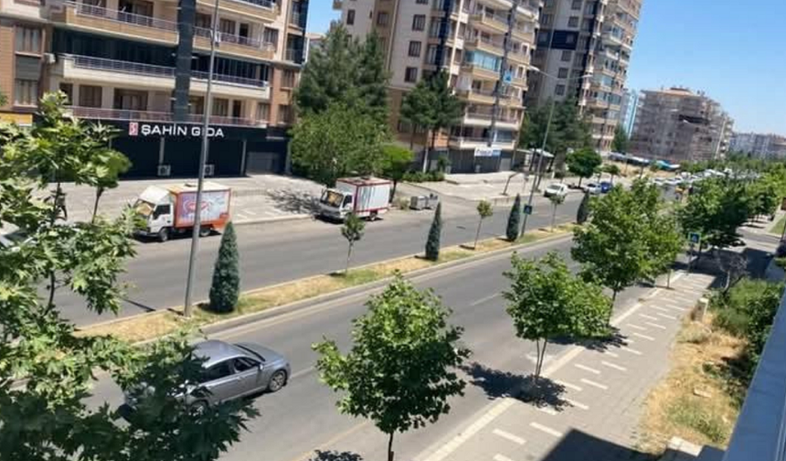 Diyarbakır’da yeşil alan alarmı: Susuzluk kurak bıraktı!