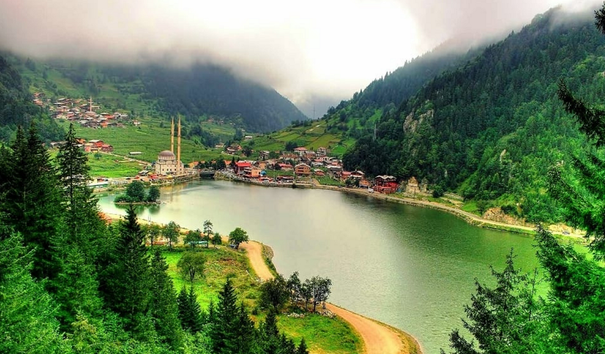 Diyarbakırlı ailenin Karadeniz tatili kabusa döndü: "Bunu kimse yapmasın..."