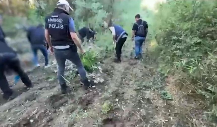 Tarihi Hevsel Bahçeleri’nde operasyon: Binlercesi ektiler!