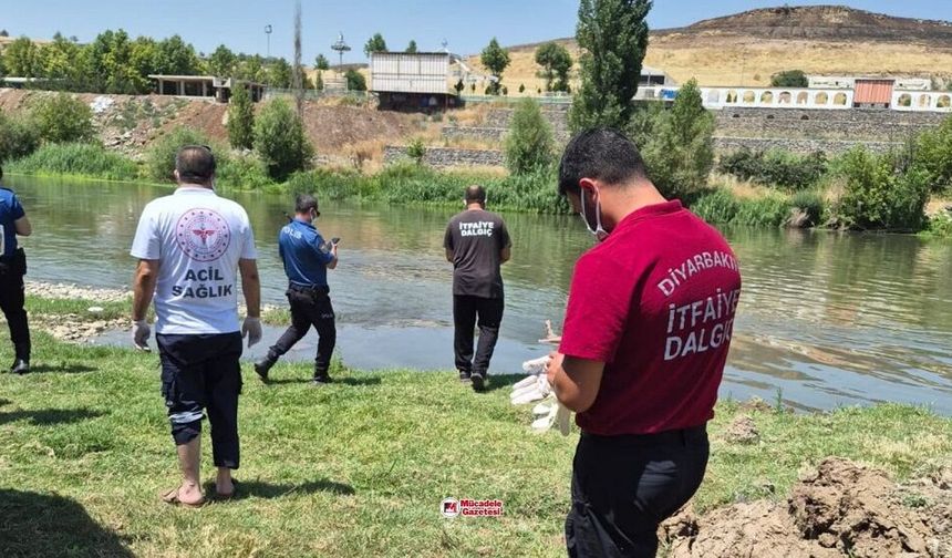 Diyarbakır'da bir kişinin cansız bedeni bulundu!