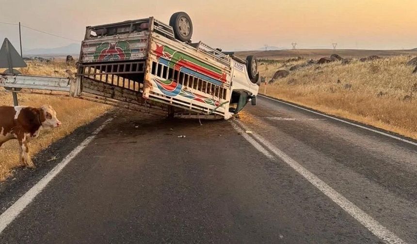 Diyarbakır yolunda faciadan dönüldü