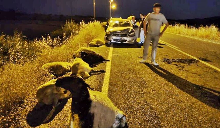 Diyarbakır’da otomobil sürüye daldı, 10 koyun öldü!