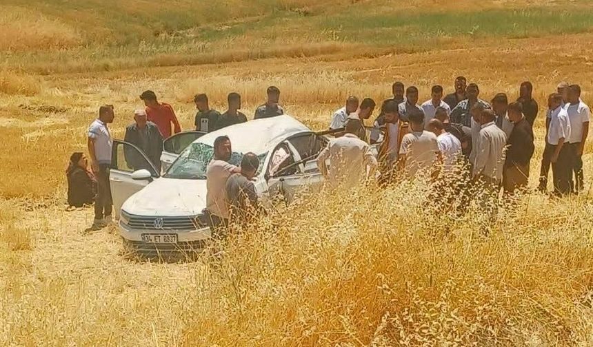 Diyarbakır'da otomobil tarlaya yuvarlandı: Çok sayıda yaralı var!