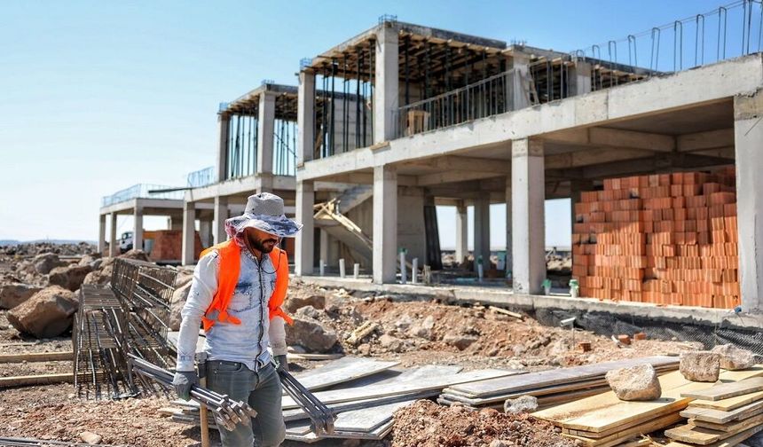 Diyarbakır'da belediye yeni bir 'Hayvan Bakımevi' yapılıyor: İşte adresi!