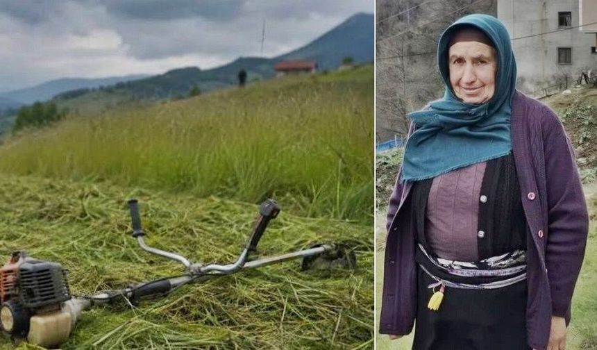 Trabzon'da ot biçme kavgası: Yengesini vurdu, 2 kişiyi ağır yaraladı