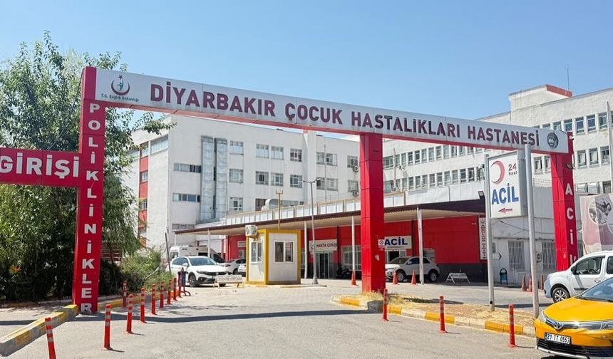 Diyarbakır’da kedinin ısırdığı çocuk entübe edildi!