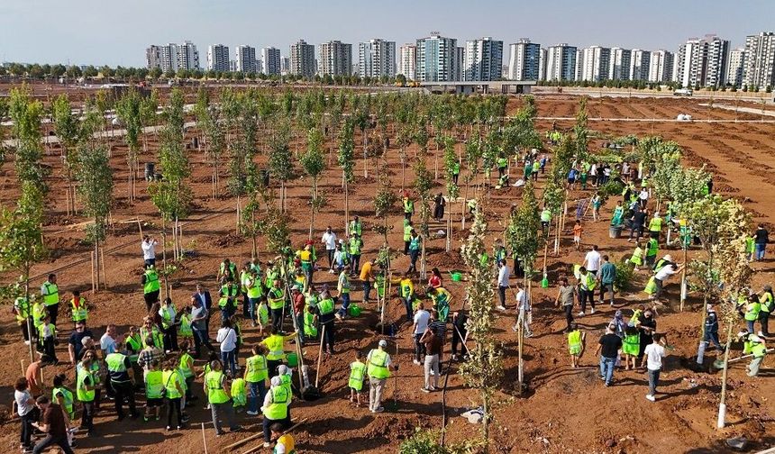 Diyarbakır Büyükşehir’den dev adım: “20 binden fazla…”