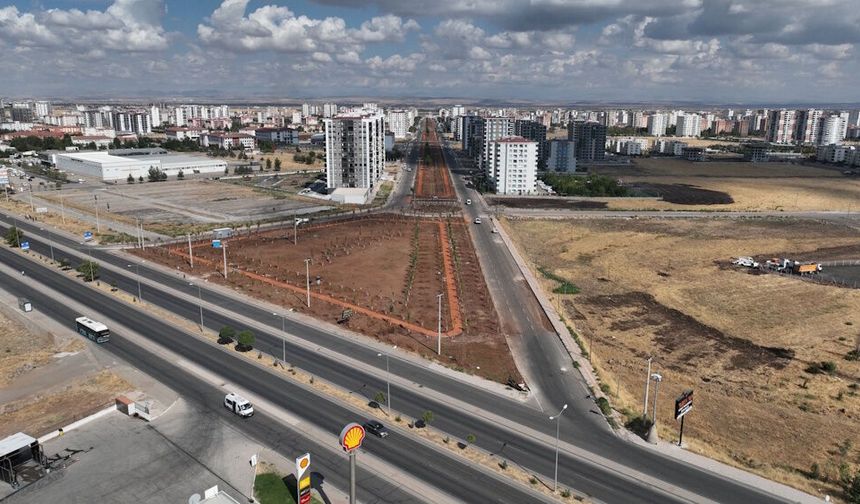 Diyarbakır Büyükşehir’den dev adım: Binlerce ağaç dikilecek!