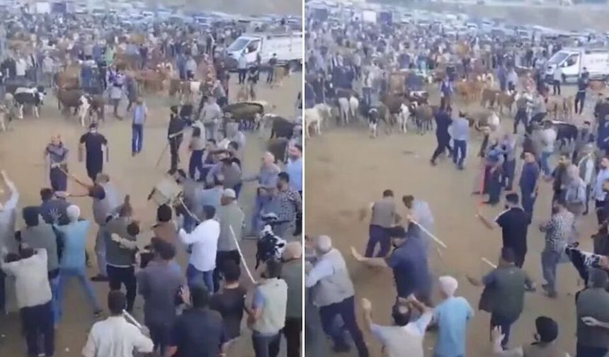 Diyarbakır hayvan pazarında kavga: Çok sayıda yaralı var!