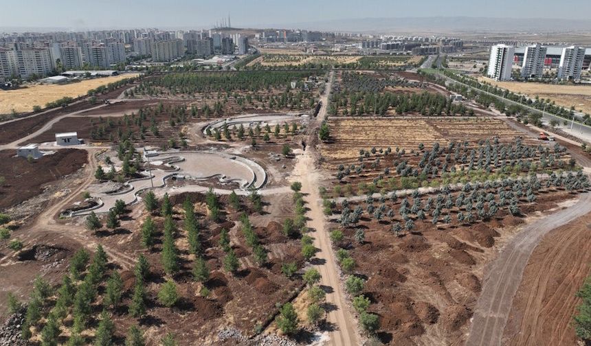 Diyarbakır Stadyumu yakınlarına dev park yapılıyor!