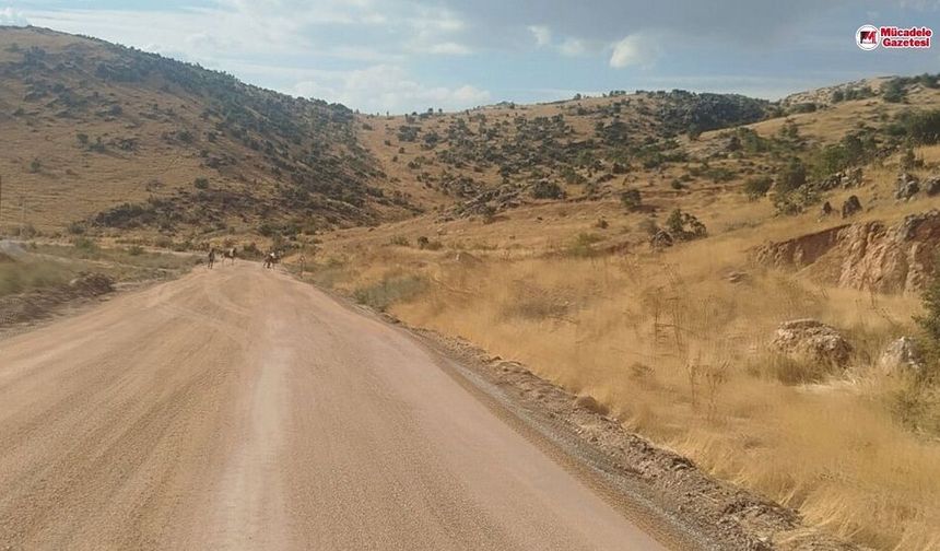 Diyarbakır’da ‘Karayolları’ çağrıya yanıt verdi: Sonunda o yol yapılıyor!