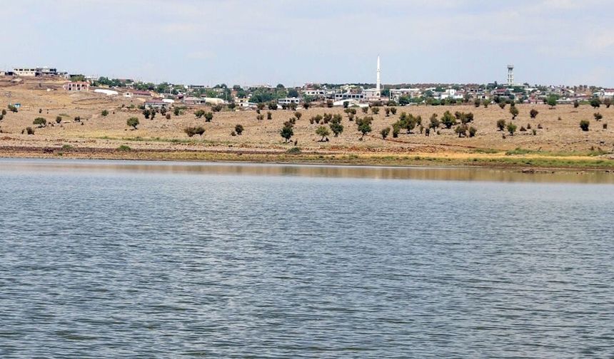 Diyarbakır’da “su olmazsa hayvancılık yapamayız” dediler: O köy suya kavuştu!