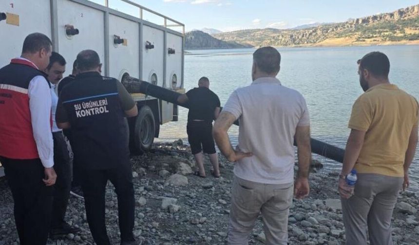 Diyarbakır’daki baraja 820 bin şabut ve sazan yavrusu bırakıldı