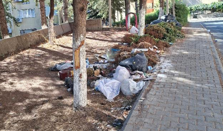 Diyarbakır’daki mahallede ihmal edilen çöpler vatandaşı isyan ettirdi!