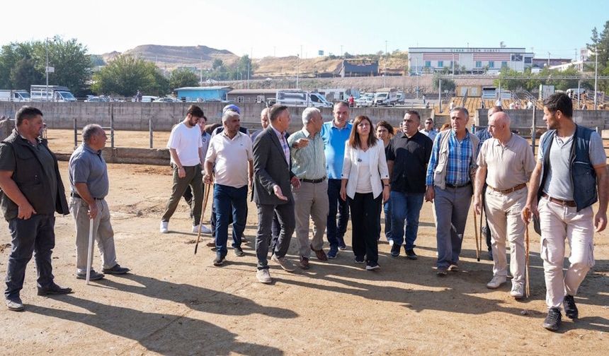 Diyarbakır’da 'Hayvan Pazarı' taşınıyor: Yeni yeri belli oldu, tarih verildi!