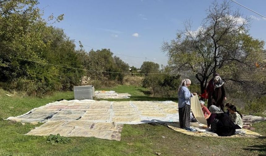 Diyarbakır'da bağ bozumu: Üzümler pestile dönüşüyor!