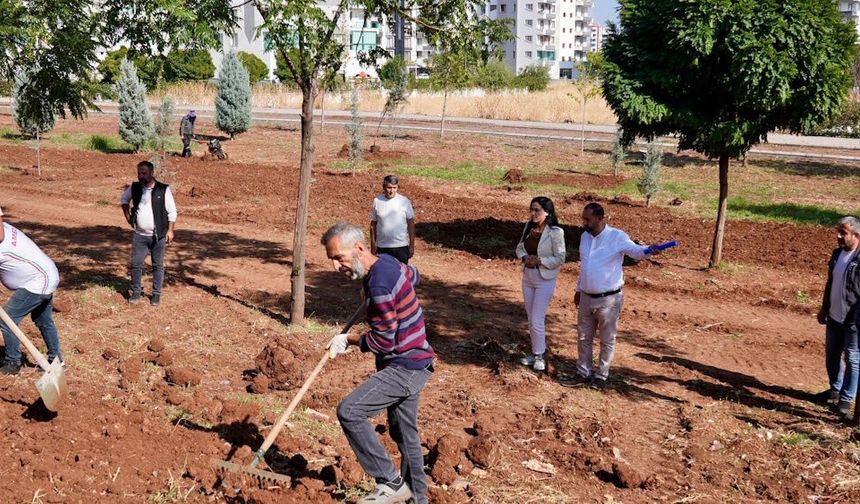 Diyarbakır’a yeni bir park yapıldı: İşte adresi