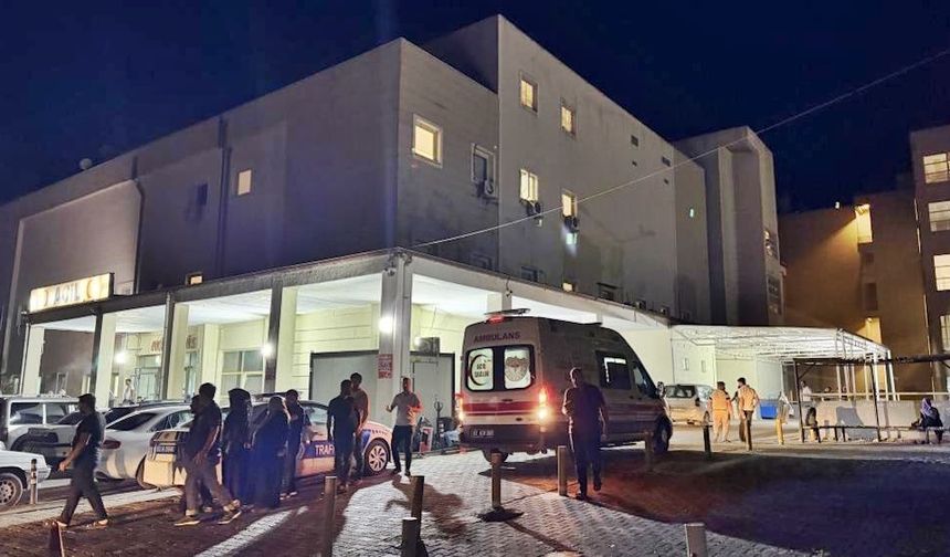 Siverek'te 8 yaşındaki çocuğa 'ütü'lü işkence iddiası: Anne gözaltında