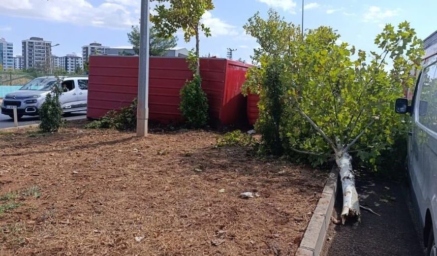 Diyarbakır’da 4 araç kazaya karıştı!