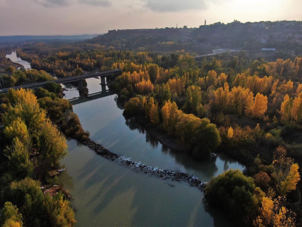 Dicle Nehri