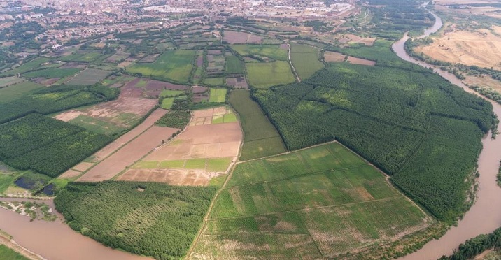 Diyarbakır’daki yağış çiftçilerin yüzünü güldürdü!