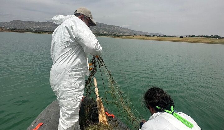 Diyarbakır’da av yasağına uymayanlara ceza!