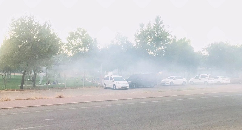 Diyarbakır’daki parkta ‘mangal’ çilesi!