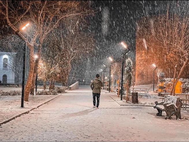 Diyarbakır Fotoğrafları Kar Yağışı (11)