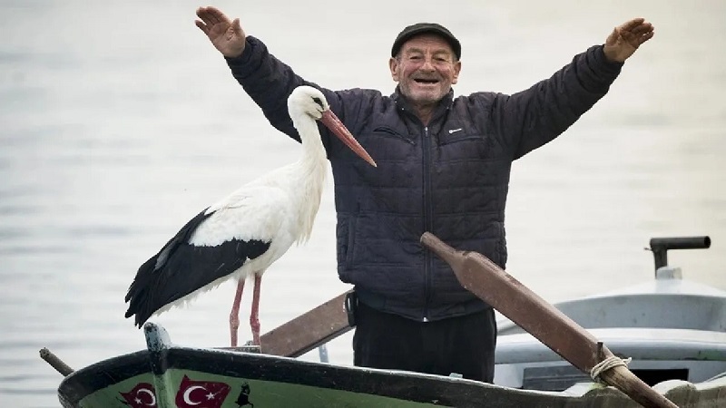 13 Yıllık Dostluk Yaren Leylek Bu Sene De Adem Amca'ya Kavuştu