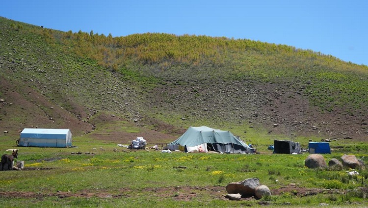 Şenyayla Diyarbakır Kulp Muş