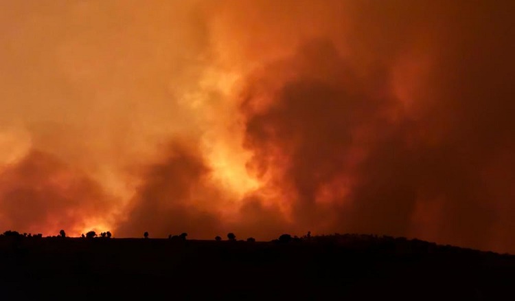 Mardin Diyarbakır Yangın