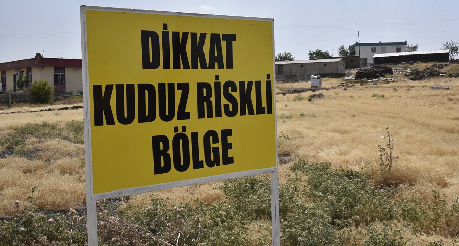 Siverek’te Kuduz Alarmı! Mahalle Karantinaya Alındı