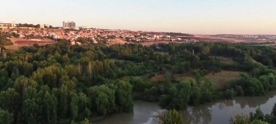 Diyarbakır Hevsel Bahçeleri'nde Kenevir Tarlası! Binlerce Ektiler
