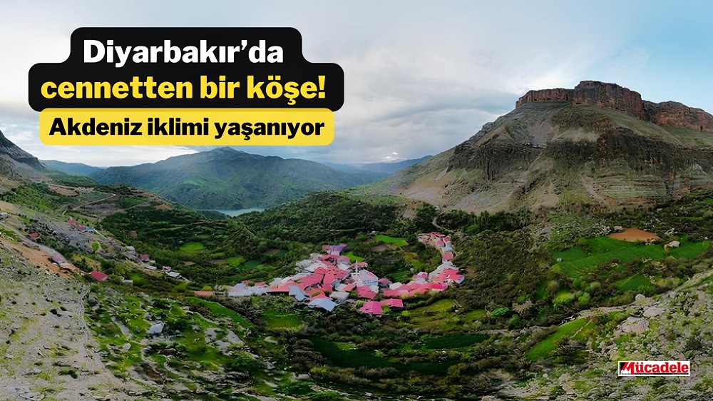 Diyarbakır’da Cennetten Bir Köşe! Akdeniz Iklimi Yaşanıyor