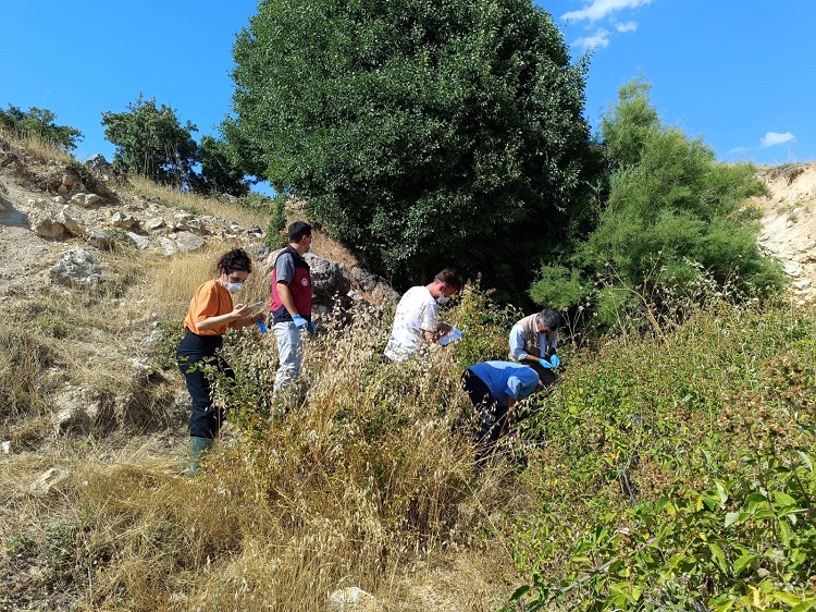 Tunceli’de Bir Koyun Atladı 42’Si Peşinden Gitti! (1)