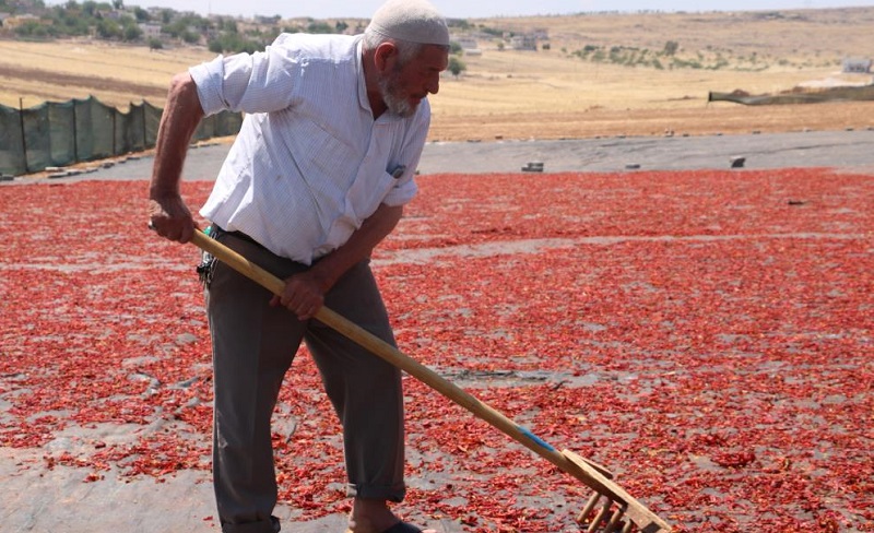 Urfa Isotunun Acı Serüveni Başladı