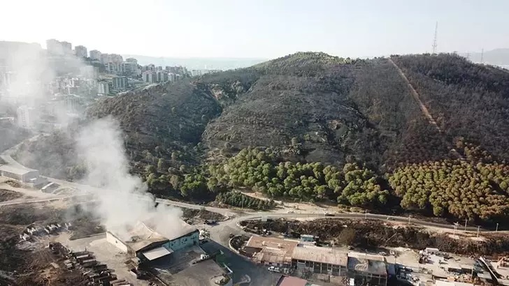 İzmir’in 3 Ilçesi Yanıyor! Havadan Ve Karadan Müdahale