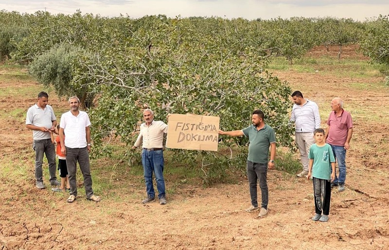 Tarım Arazileri Imara Açıldı Suruç'ta Köylülerden Büyükşehir'e Tepki