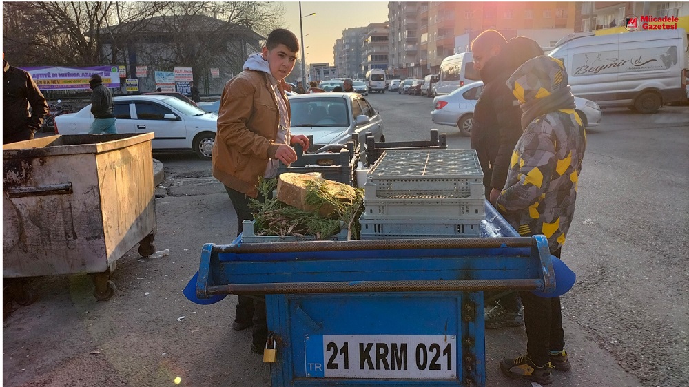 Diyarbakır Plakalı Seyyar Tezgah Ilgi Görüyor!