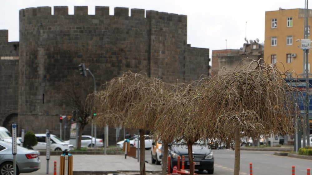Diyarbakır Sur Bahar Ağaç Çiçek Hava Durumu Yağmur Yağış