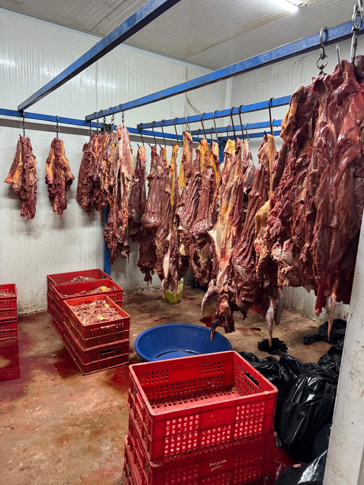 Adana’da 3 Ton Eşek Ve At Eti Ele Geçirildi!-1