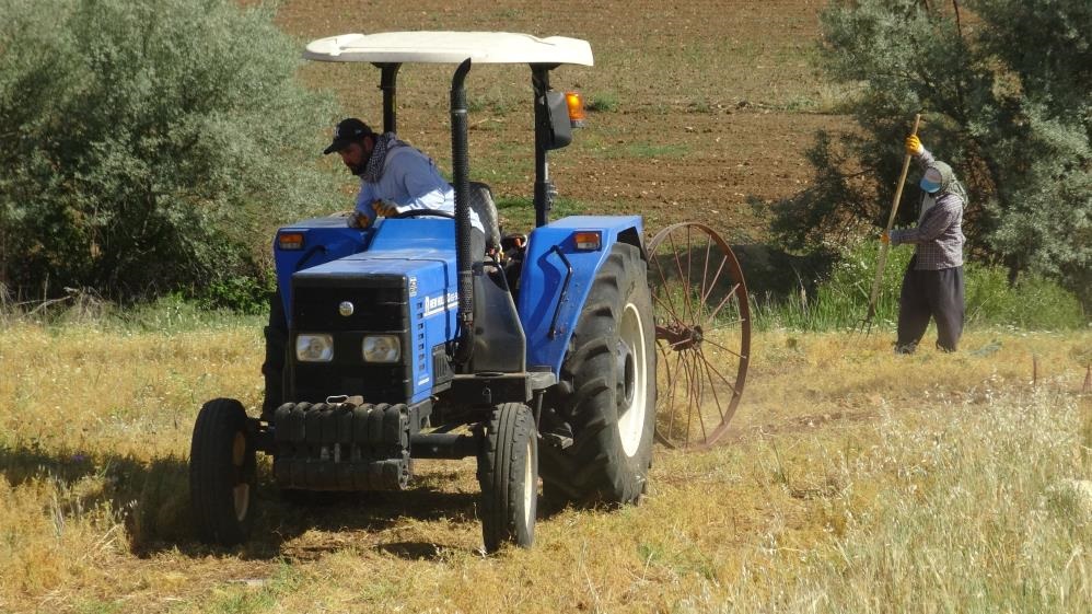 Çiftçi Hasar Mercimek Tarla Traktör