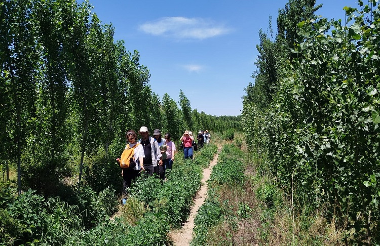 Diyarbakır Hevsel Bahçeleri-1