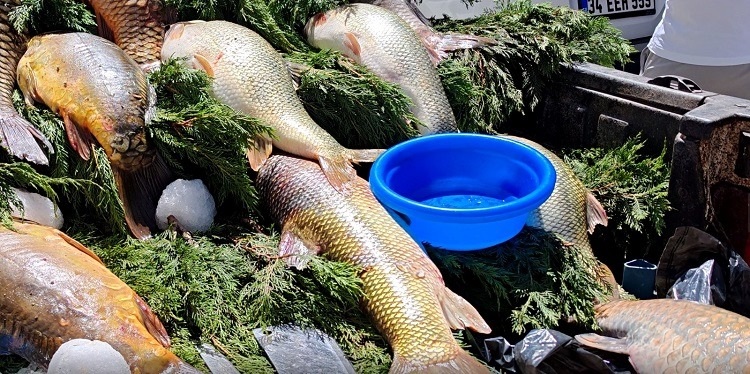 Fırat'ın Dev Balığı Diyarbakır Tezgahında Tanesi 3 Bin 500 Tl!